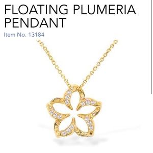 Na Hoku Floating Plumeria Pendant